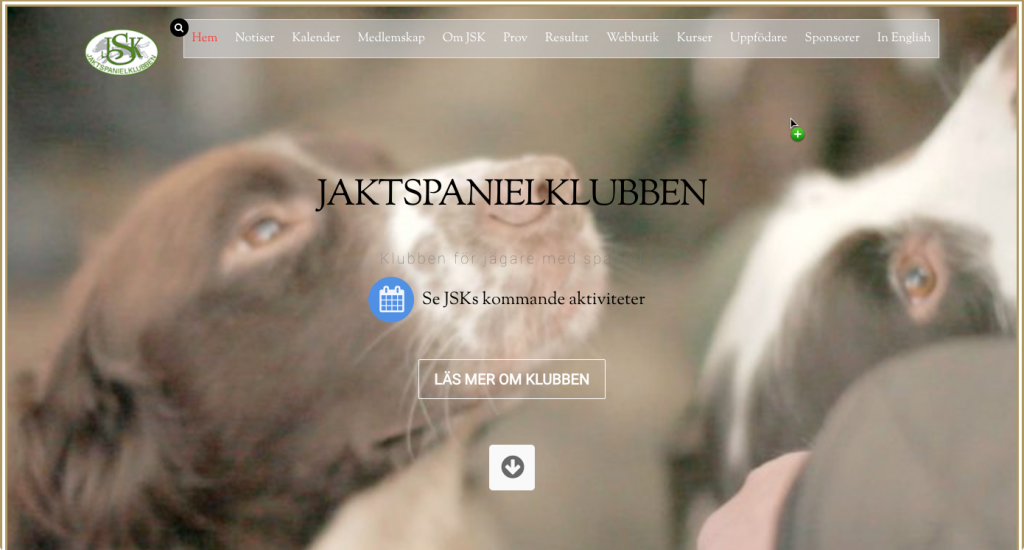 www.jaktspanielklubben.se