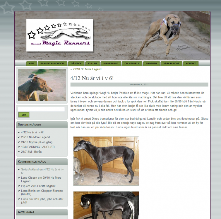 www.magicrunners.se