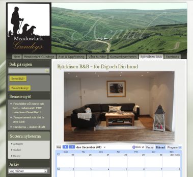 www.meadowlark.nu